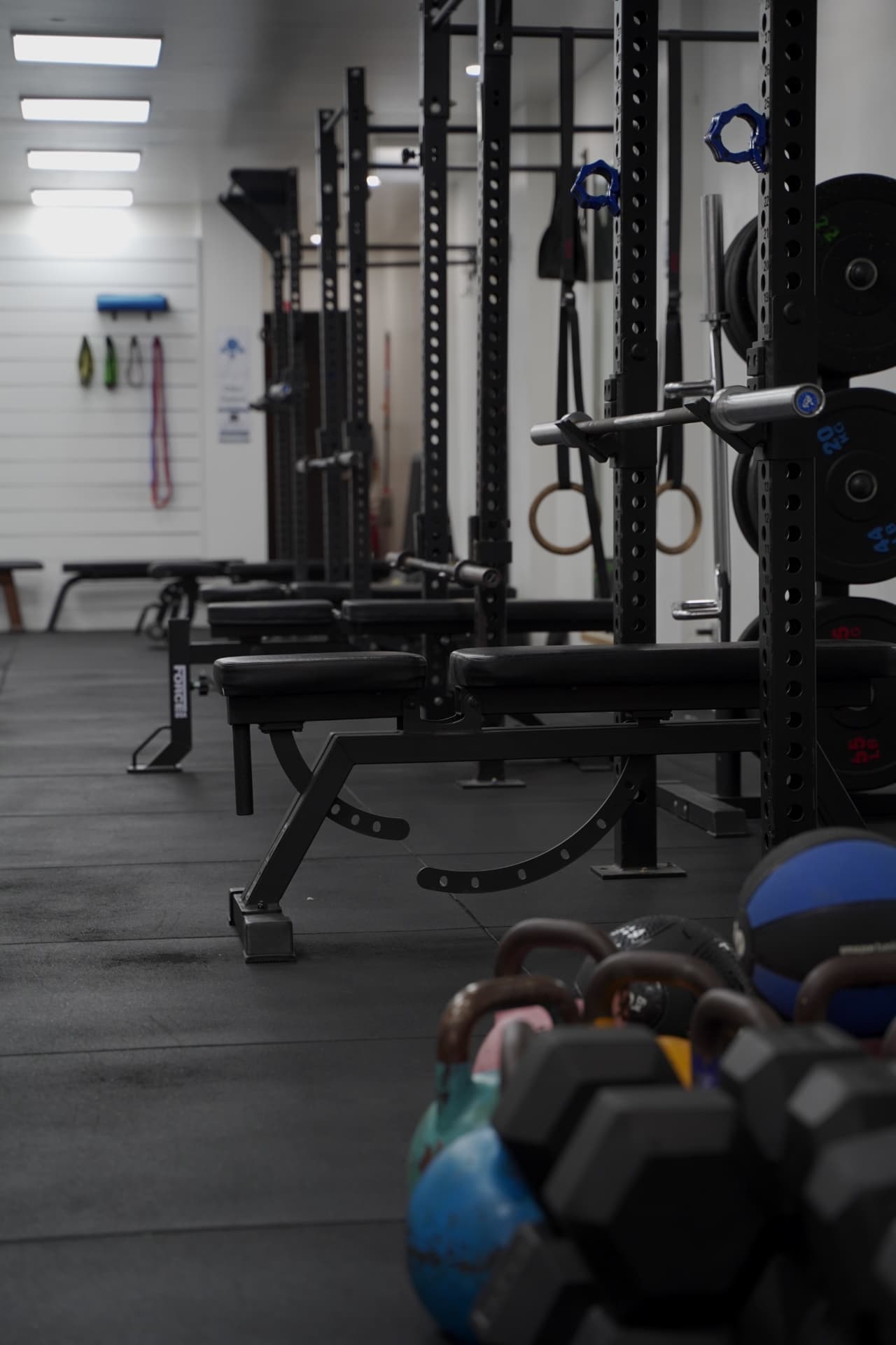 Row of benches, racks and kettlebells in the Crows Nest gym